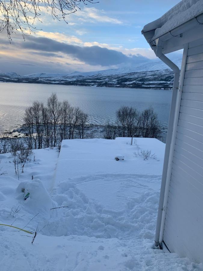 Hakoyveien 151, Tromso Hotel Exterior foto